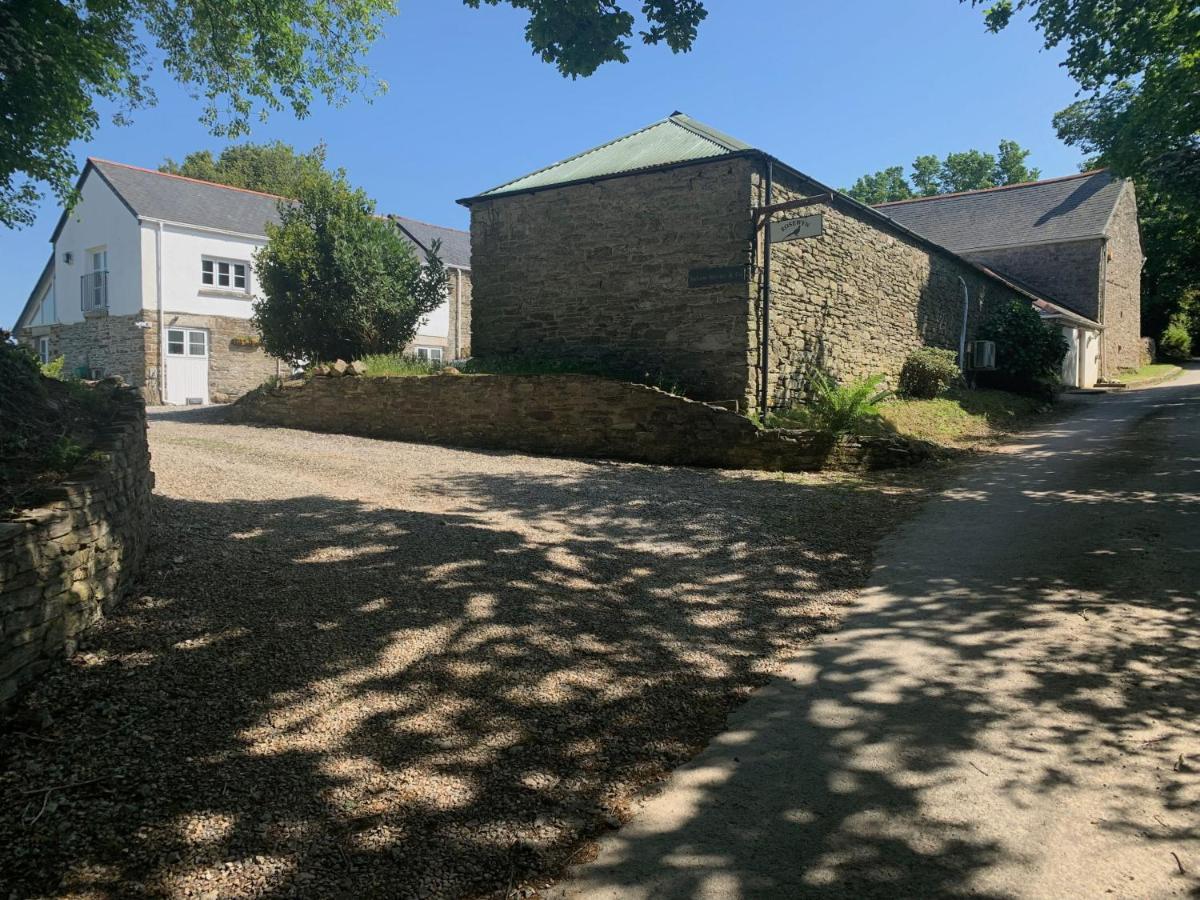 Pheasants Wander At Rosewyn Villa Newquay  Exterior photo