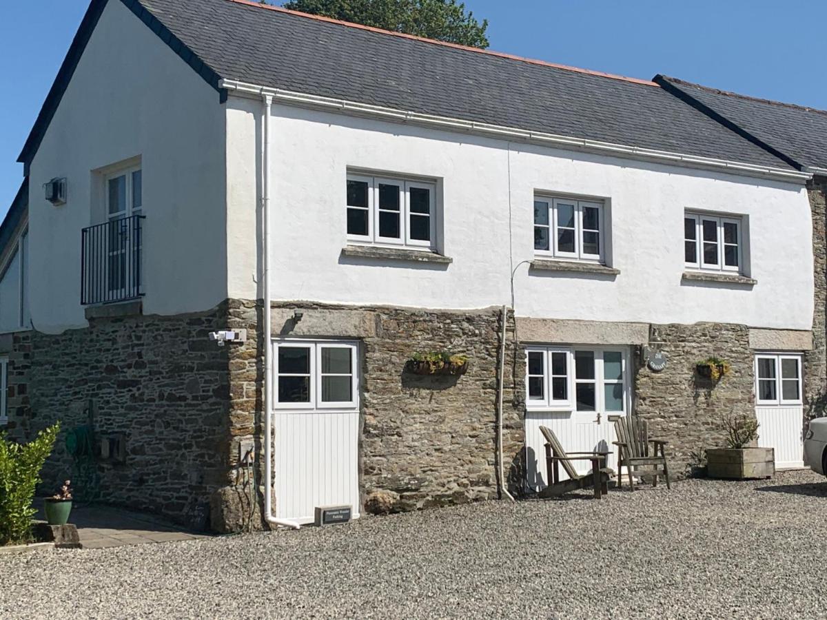 Pheasants Wander At Rosewyn Villa Newquay  Exterior photo